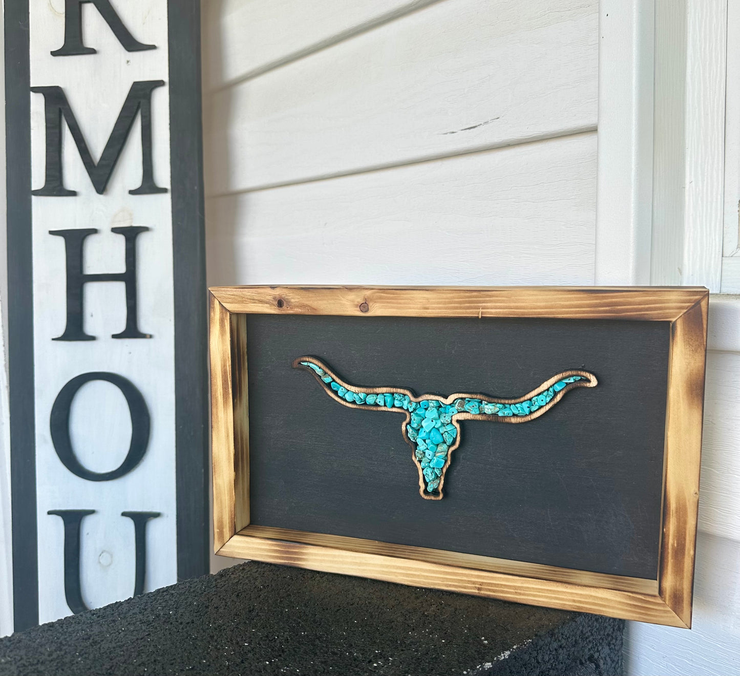 Longhorn Decor